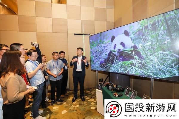 TI的独特DLP技术