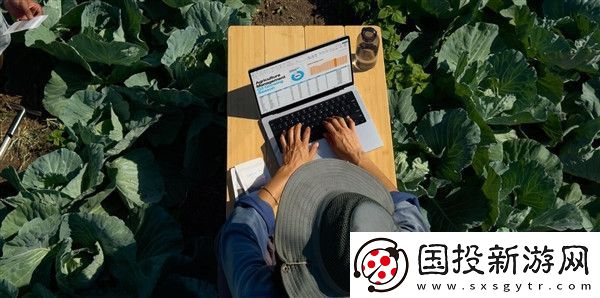 苹果CEO库克