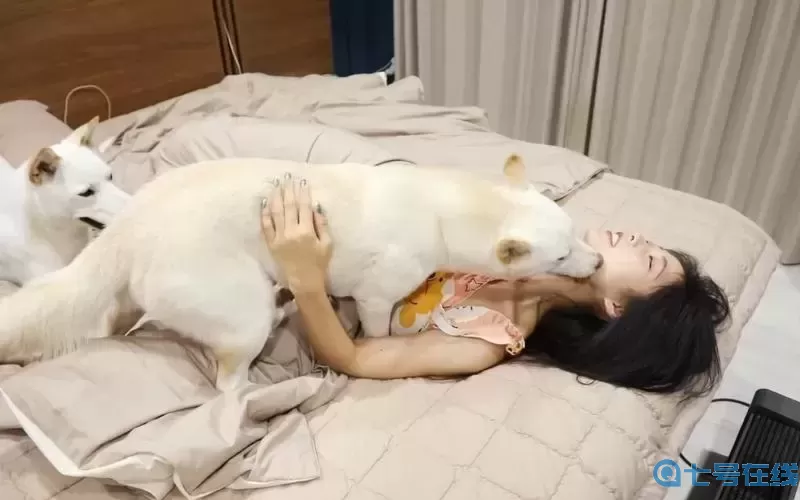 暴躁CSGO妹子免费带你体验枪战中的激情与乐趣