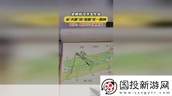66m66成长模式