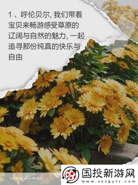 一起草国