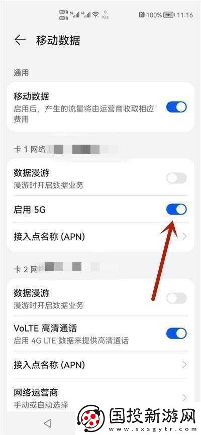 5g