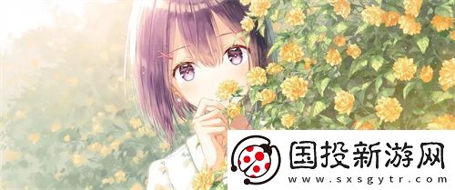 营造美感！WORDPRESS成品站免费设计为你打开新视界