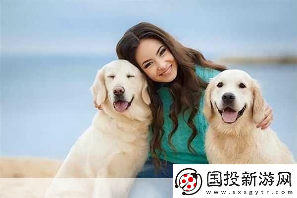 狗狗配人怎么配