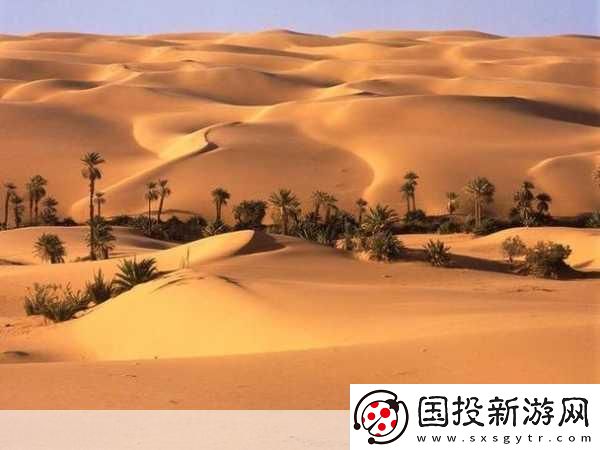 欧美无人区码卡二卡3卡2022