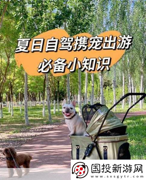 小汪汪携宠漫步新体验