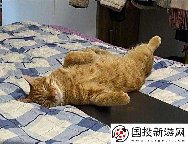 睡觉感觉有一股很强的吸力
