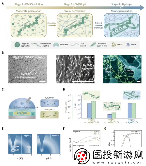 水凝胶基半导体材料在生物集成电路领域的潜在应用前景