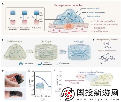 水凝胶基半导体材料在生物集成电路领域的潜在应用前景