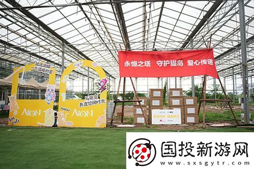 永恒之塔携手玩家登陆“上海猫岛”参与公益项目关爱社区流浪猫