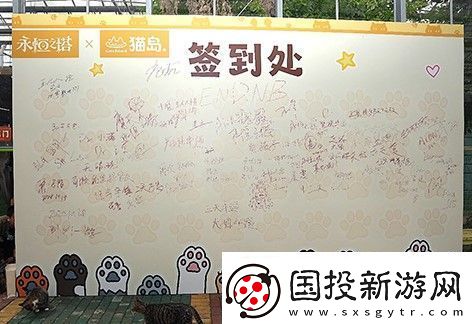 永恒之塔携手玩家登陆“上海猫岛”参与公益项目关爱社区流浪猫