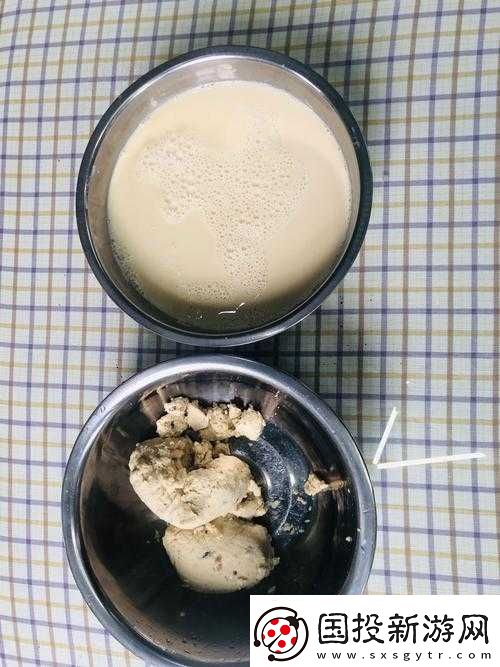 折腾了一个多小时才弄出来的豆浆