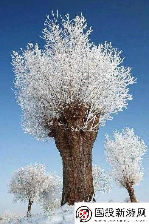 感叹号猛戳句号