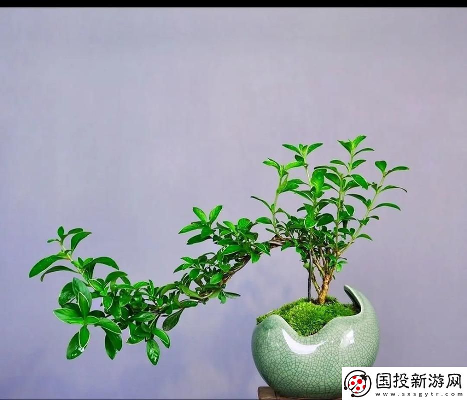 丝瓜+草莓+黄瓜
