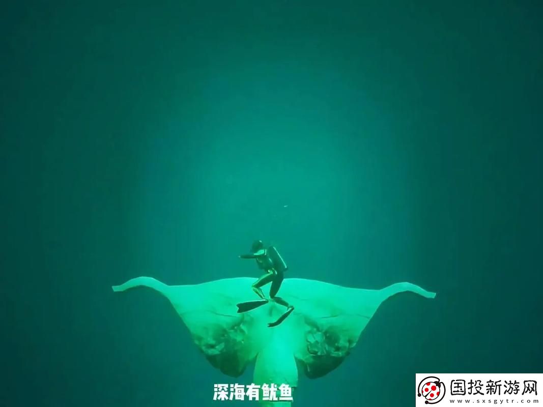 鱿鱼视频在线观看免费最新