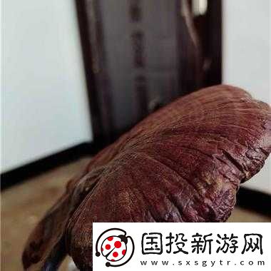 江湖秘闻