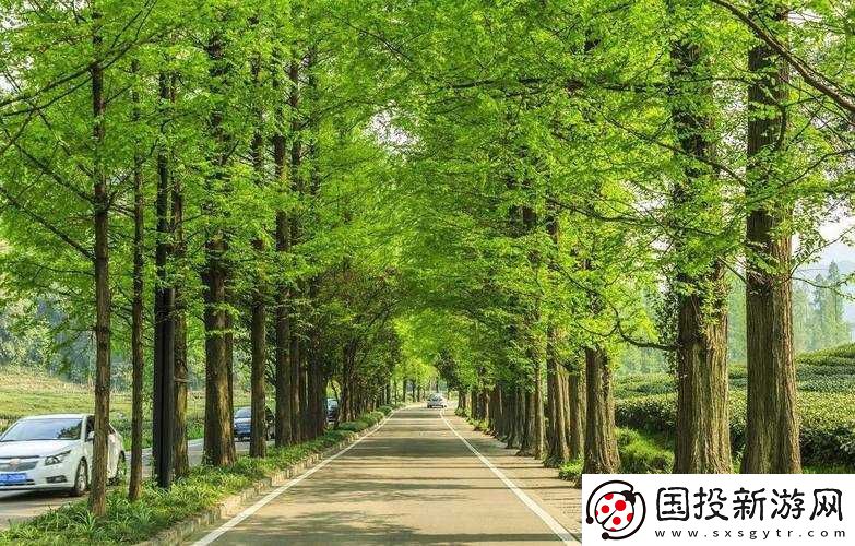 深圳玖玖玖人力资源有限公司咋样