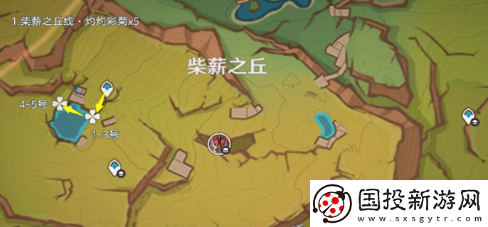 原神灼灼彩菊哪里多