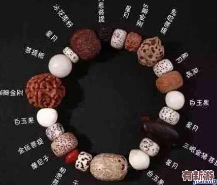六个佛目珠在哪