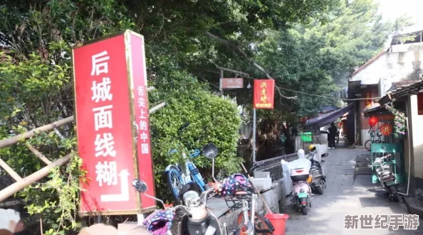 XX69日本"网友评价
