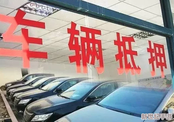 枫散r18车不适请退