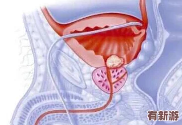 手脚绑起来拿刷子刷尿道孔的行为背后隐藏着怎样的心理与动机