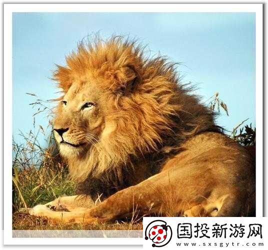 美国Zoom动物园
