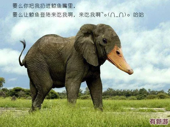 刚入睡感觉巨大的东西在动狗