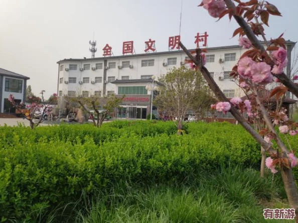 草莓丝瓜深夜释放自己
