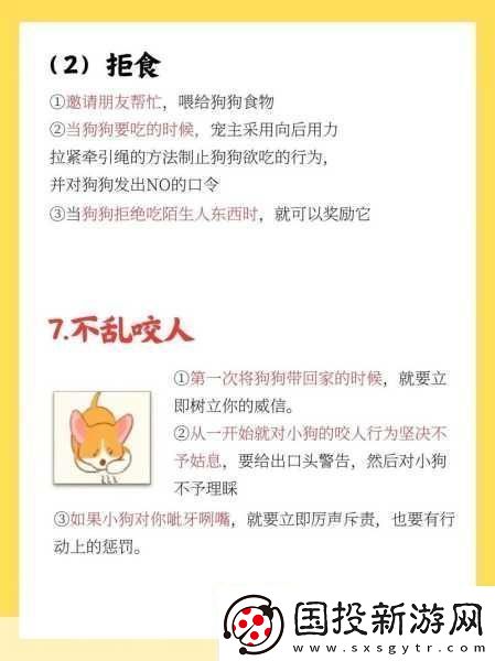 篮球队的公共玩具正伟