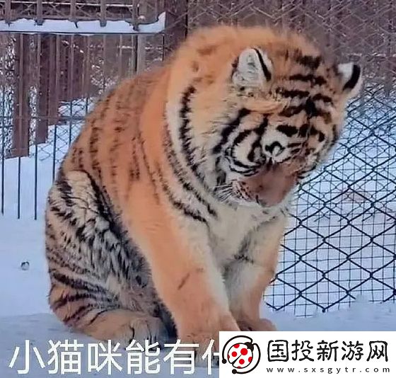 能有什么坏心眼呢是什么梗网络用语