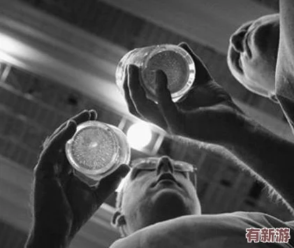 欧美另类**