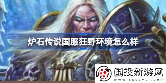 炉石传说国服狂野环境怎么样