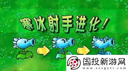 植物大战僵尸杂交版寒冰射手进化后怎么样