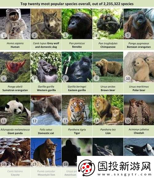 Zoom与人性Zoom的区别