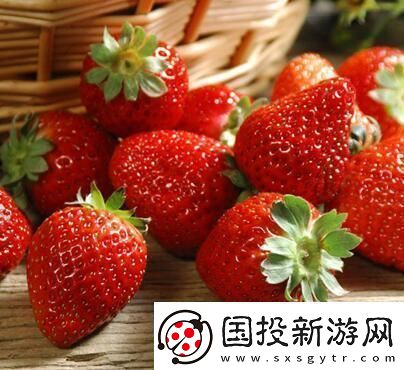 免费畅享草莓视频