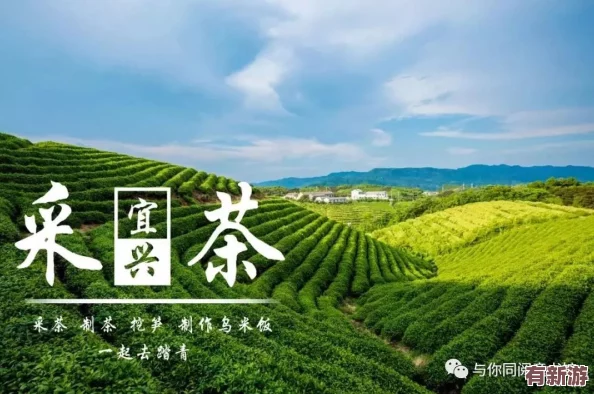 户外**bbb