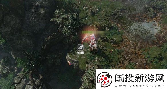 命运方舟大雨林摩可可种子怎么收集