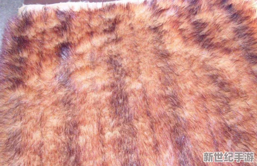 AAAA级毛皮是纯还是仿