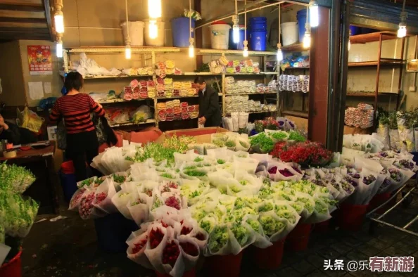 免费拔萝卜直播