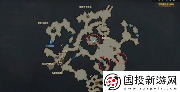命运方舟大雨林摩可可种子怎么收集