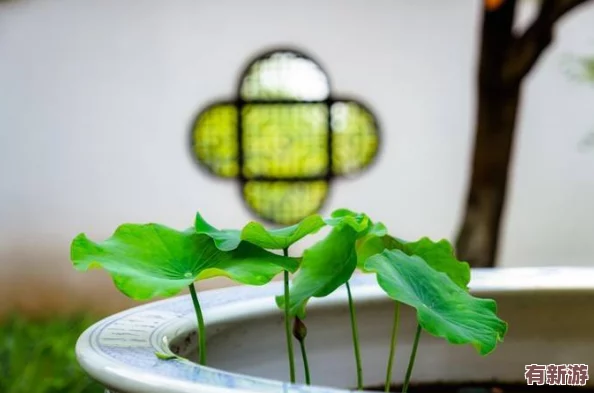 桐桐铜铜水好多