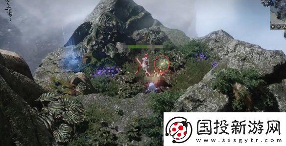 命运方舟大雨林摩可可种子怎么收集