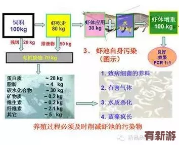希露薇の繁殖计划