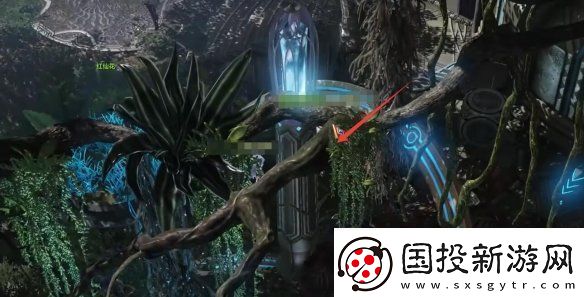 命运方舟大雨林摩可可种子怎么收集