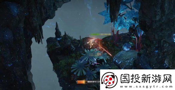 命运方舟大雨林摩可可种子怎么收集