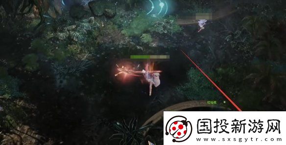 命运方舟大雨林摩可可种子怎么收集