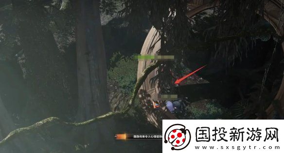 命运方舟大雨林摩可可种子怎么收集