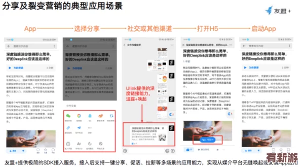 九幺9.1旧版的深度解析与使用体验分享