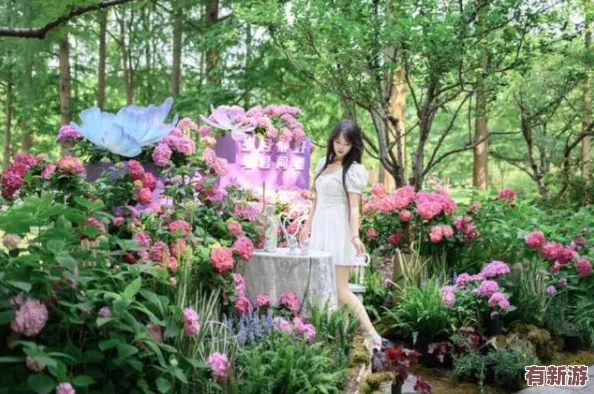 花花世界免费看电影